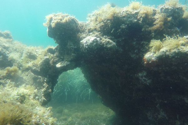Snorkeling a Ischia:Tour completo di Archeo Bio Snorkeling 